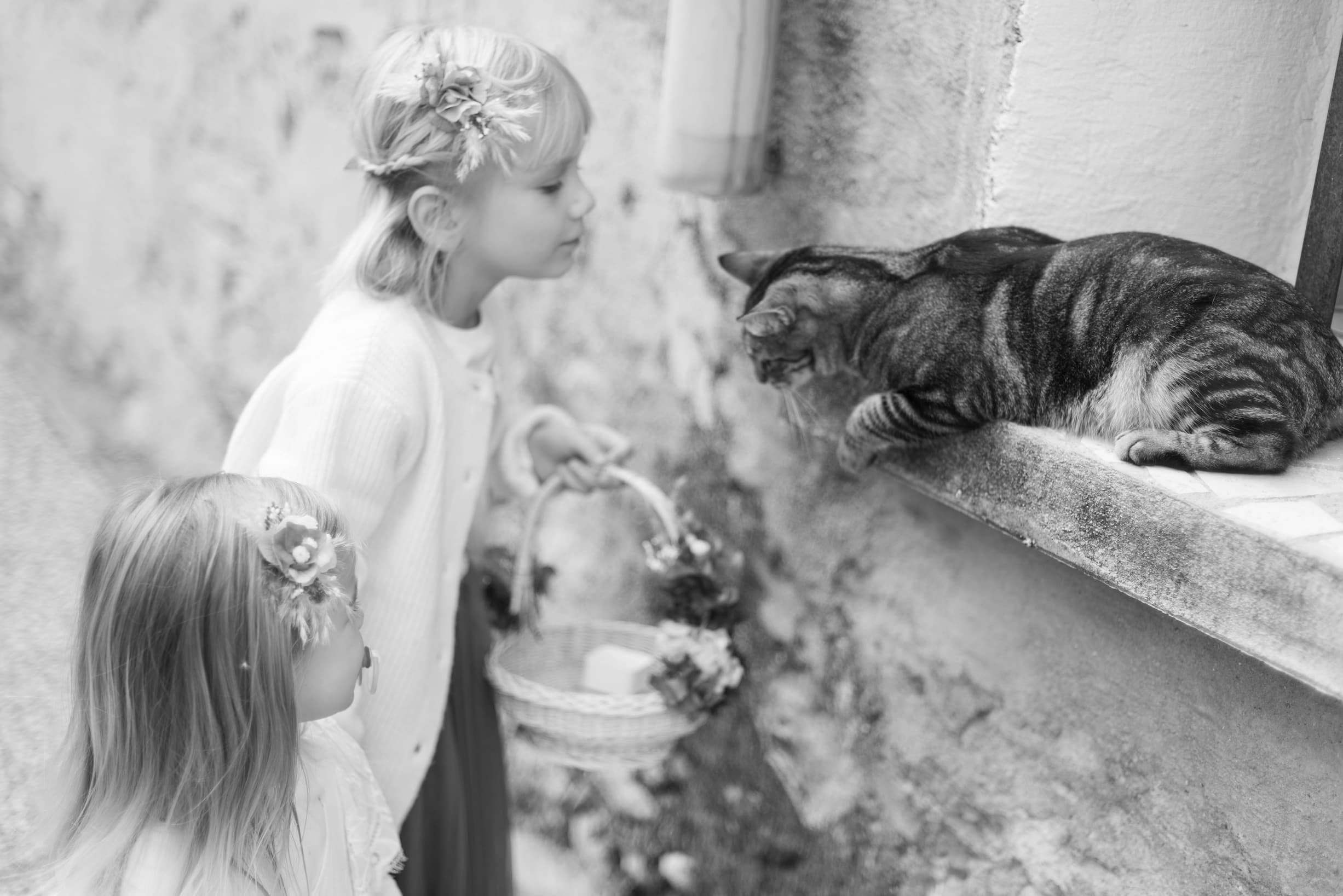 Mariage Saint-Génis-des-Fontaines